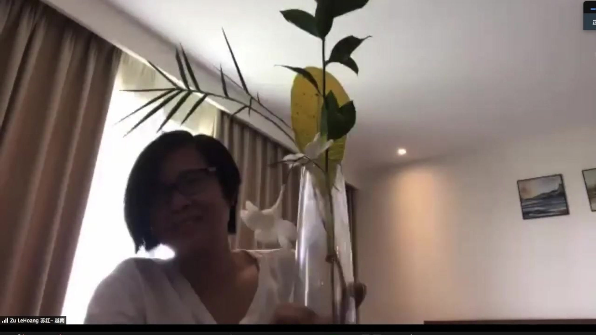 Chinese flower arrangement-Yujuan Xu _ 中国传统插花-徐雨隽老师